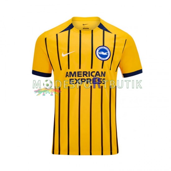 Brighton Hove Albion Matchtröja Borta 2024-2025 Kortärmad ,Herr