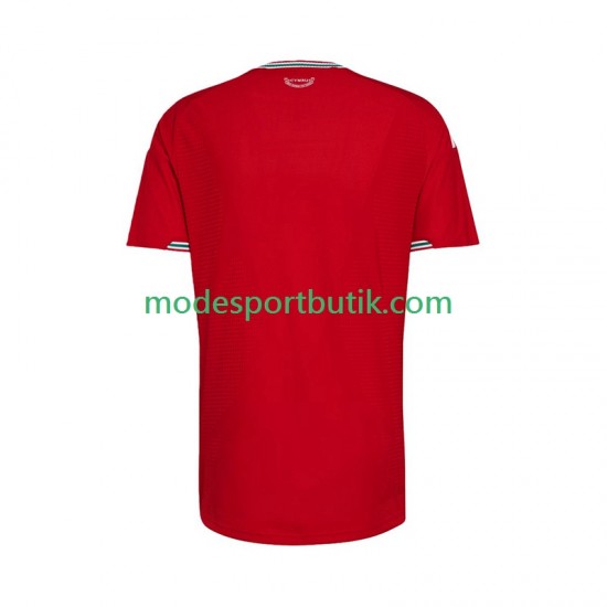 Wales Matchtröja Hemma 2026 Kortärmad ,Herr