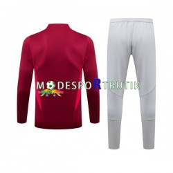 Arsenal Tränings Sweatshirtställ Röd 2023-2024