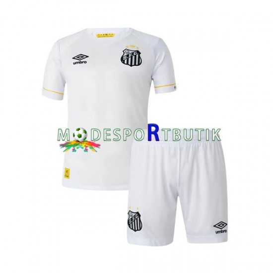 Santos FC Matchtröja Borta 2023-2024 Kortärmad