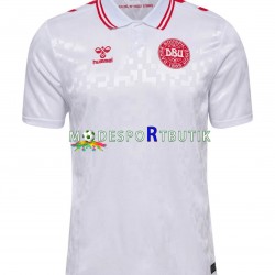 Danmark Matchtröja Borta Euro 2024 Kortärmad ,Herr