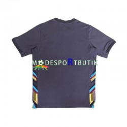 England Matchtröja Borta Euro 2024 Kortärmad ,Herr