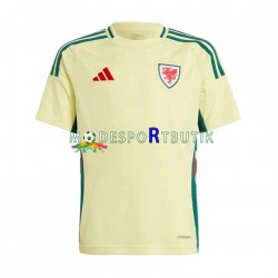 Wales Matchtröja Borta 2024 Kortärmad ,Herr