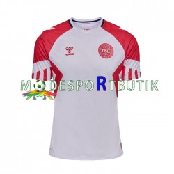 Danmark Matchtröja Borta 2023 Kortärmad ,Herr
