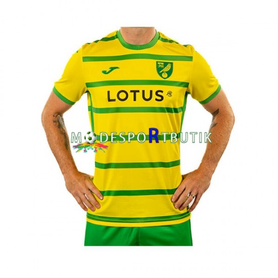 Norwich City Matchtröja Hemma 2023-2024 Kortärmad ,Herr