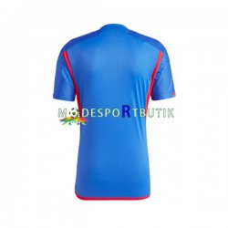 Olympique Lyonnais Matchtröja Borta 2023-2024 Kortärmad ,Herr