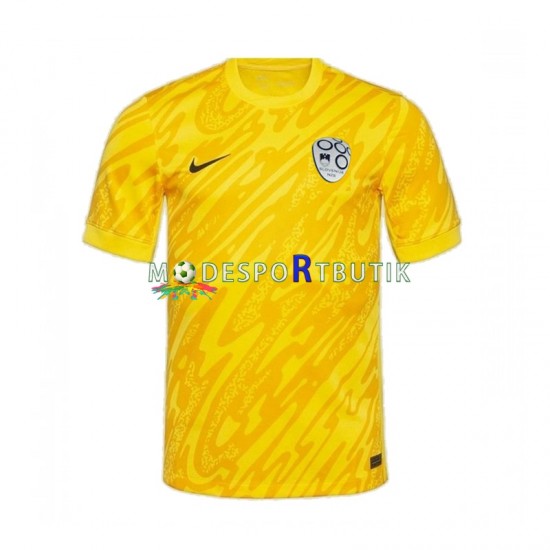 Slovenien Matchtröja Målvakt Hemma Euro 2024 Kortärmad ,Herr