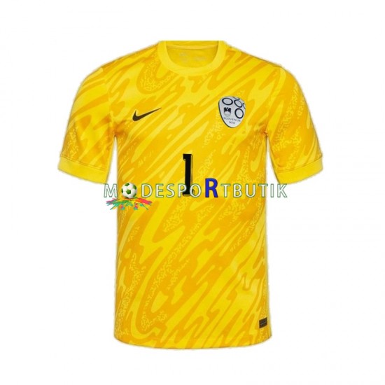 Slovenien Matchtröja Jan Oblak 1 Målvakt Hemma Euro 2024 Kortärmad ,Herr