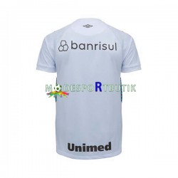Gremio Matchtröja Borta 2023-2024 Kortärmad ,Herr