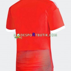 Peru Matchtröja Borta 2023 Kortärmad ,Herr