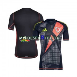 Wales Matchtröja Målvakt Hemma 2024 Kortärmad ,Herr