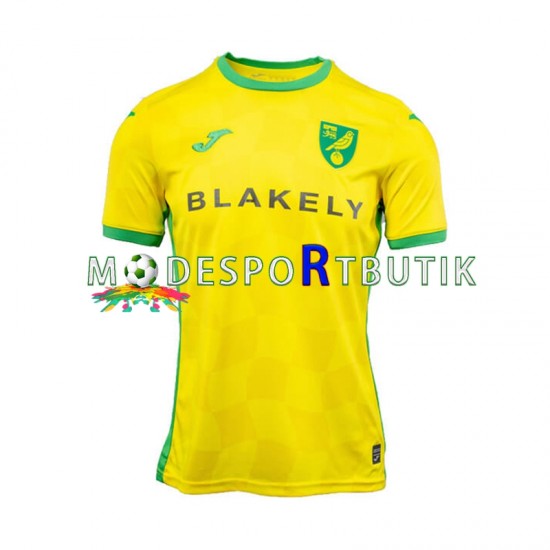 Norwich City Matchtröja Hemma 2024-2025 Kortärmad ,Herr