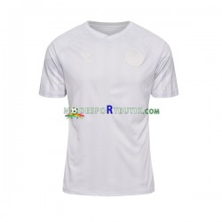 Danmark Matchtröja Borta VM 2022 Kortärmad ,Herr