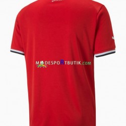 Egypten Matchtröja 2022 Hemma Kortärmad ,Herr