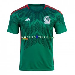 Mexiko Matchtröja Hemma VM 2022 Kortärmad ,Herr