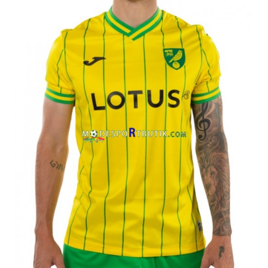 Norwich City Matchtröja Hemma 2022-23 Kortärmad ,Herr