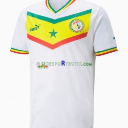 Senegal Matchtröja Hemma VM 2022 Kortärmad ,Herr